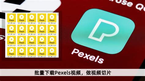 視頻素材|免费素材视频 Pexels 视频